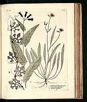  no thumbnail available