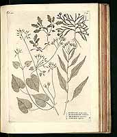  no thumbnail available