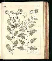  no thumbnail available