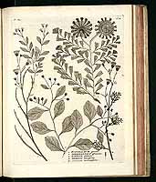  no thumbnail available