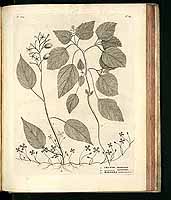  no thumbnail available