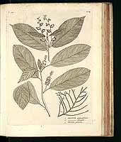  no thumbnail available