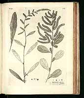  no thumbnail available