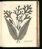  no thumbnail available