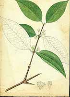 no HD illustration available (5) 