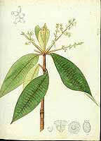 no HD illustration available (5) 