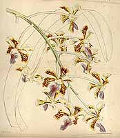  no thumbnail available