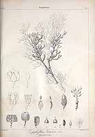  no thumbnail available