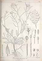  no thumbnail available