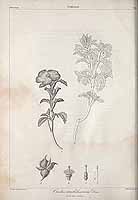  no thumbnail available