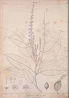  no thumbnail available