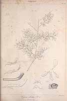  no thumbnail available