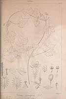  no thumbnail available