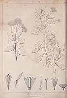  no thumbnail available