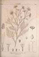  no thumbnail available