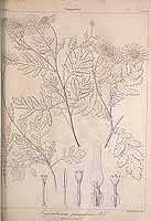  no thumbnail available