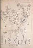  no thumbnail available