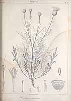  no thumbnail available