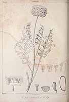  no thumbnail available