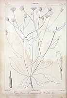  no thumbnail available