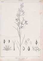  no thumbnail available