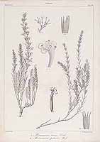  no thumbnail available