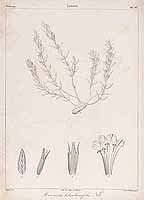  no thumbnail available