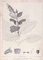  no thumbnail available