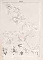  no thumbnail available