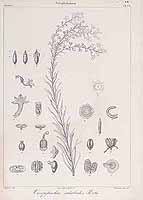  no thumbnail available