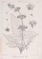  no thumbnail available