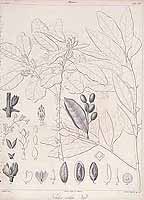  no thumbnail available