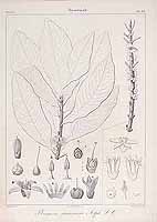  no thumbnail available