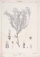  no thumbnail available