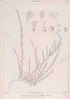  no thumbnail available