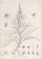  no thumbnail available