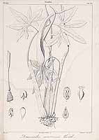  no thumbnail available