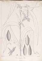  no thumbnail available