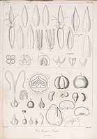  no thumbnail available