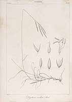  no thumbnail available