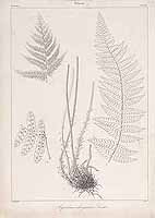  no thumbnail available