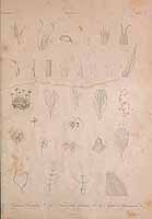  no thumbnail available