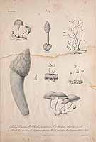  no thumbnail available