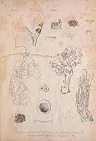  no thumbnail available