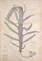  no thumbnail available