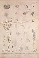  no thumbnail available