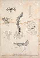  no thumbnail available