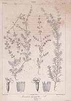  no thumbnail available