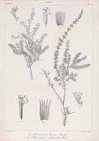  no thumbnail available