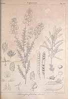  no thumbnail available